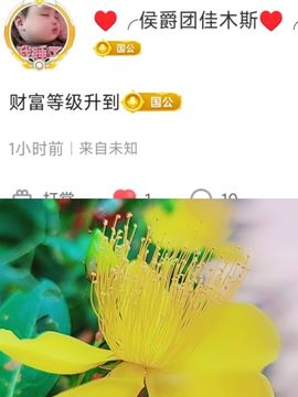 婷婷💕感恩有你陪伴主播照片