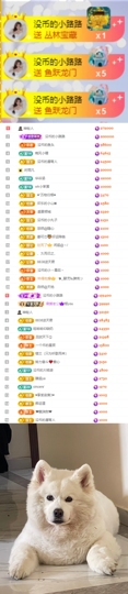 陈慧慧🥕早9晚8主播照片