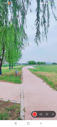 婷婷💕感恩有你陪伴主播照片
