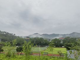 KK十一的图片