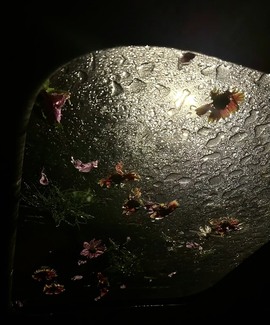 洋子～晚点见主播照片