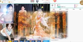 小灵鹤🦋的图片