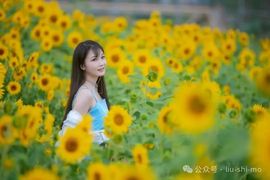 浪摆的女人主播照片