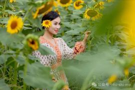 浪摆的女人主播照片