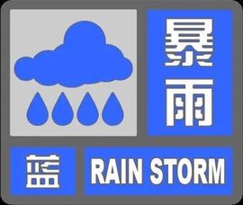 2025不好过主播照片