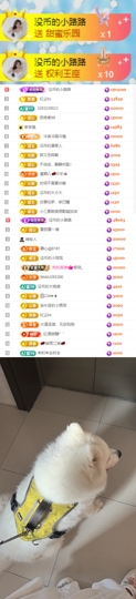 陈慧慧🥕早9晚8主播照片