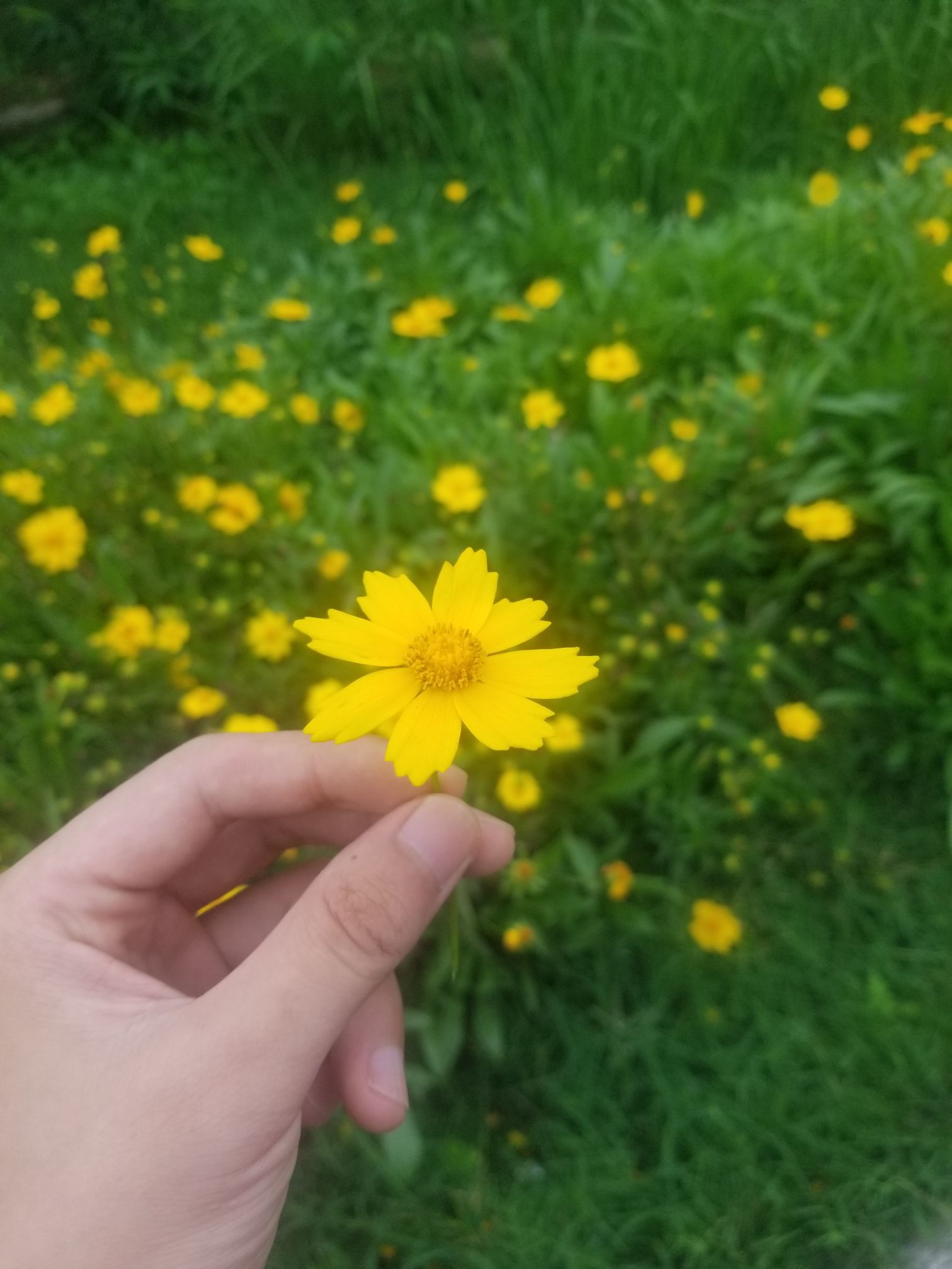 小童5178🍀的图片
