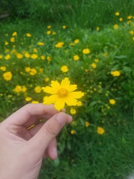 小童5178🍀主播照片