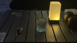 娜扎🧸主播照片