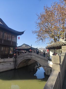 婷婷💕感恩有你陪伴主播照片