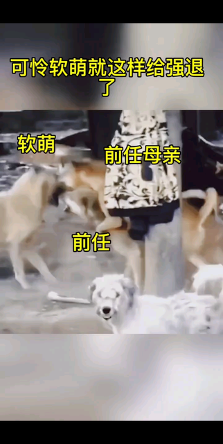 原来如此/发怒没有自