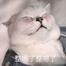 又软又脆又好吃夏令营
