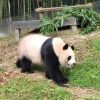 文平6x的头像