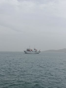 珠光宝气✘的图片