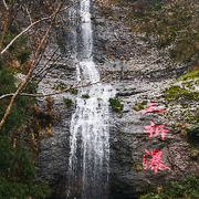 若梦浪子海报