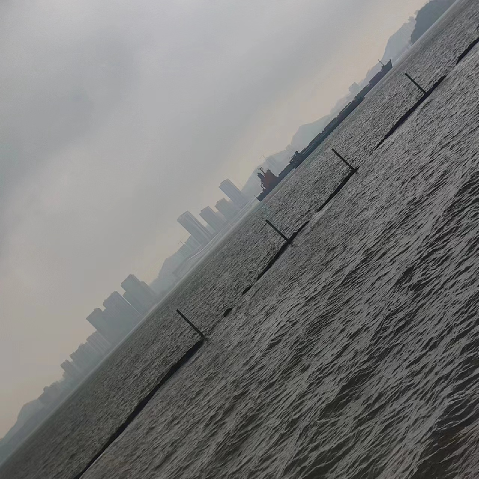 妳的泽.海报