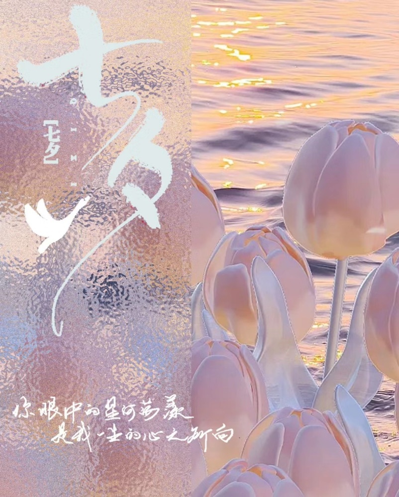Eva啦的图片