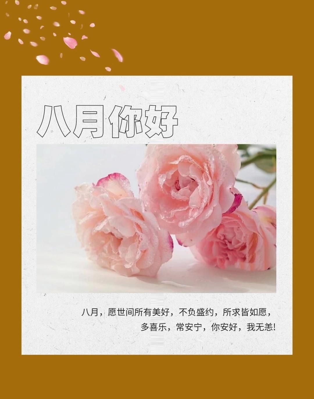 ╰つ〃溫昕今日休🌷主播图片