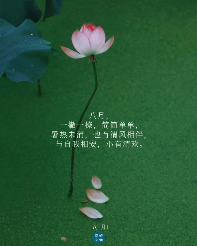 ╰つ〃溫昕🌷的图片