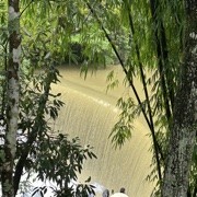 W无所谓N头像