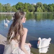 🌸鹿甜甜🌸海报