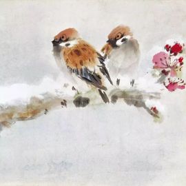 翻新♥宝宝的图片
