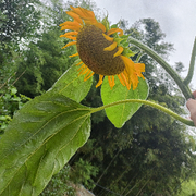 全球我最靓🎋