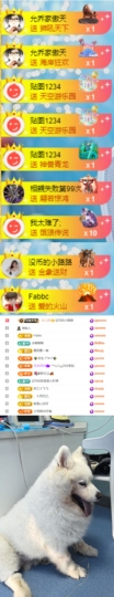 陈慧慧🥕早9晚8主播照片