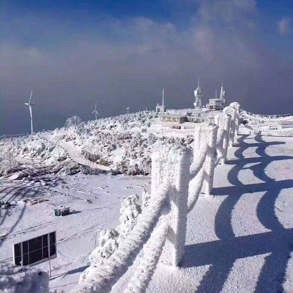 素雪家秋葉🍂🍂海报