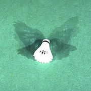 .略略略海报
