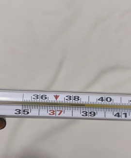 6清予主播照片