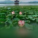 大智ly海报