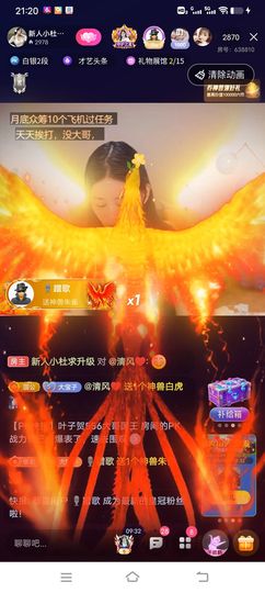 新人小杜求陪伴主播照片