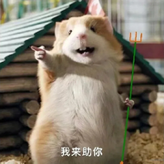 初代纯爱战神的头像