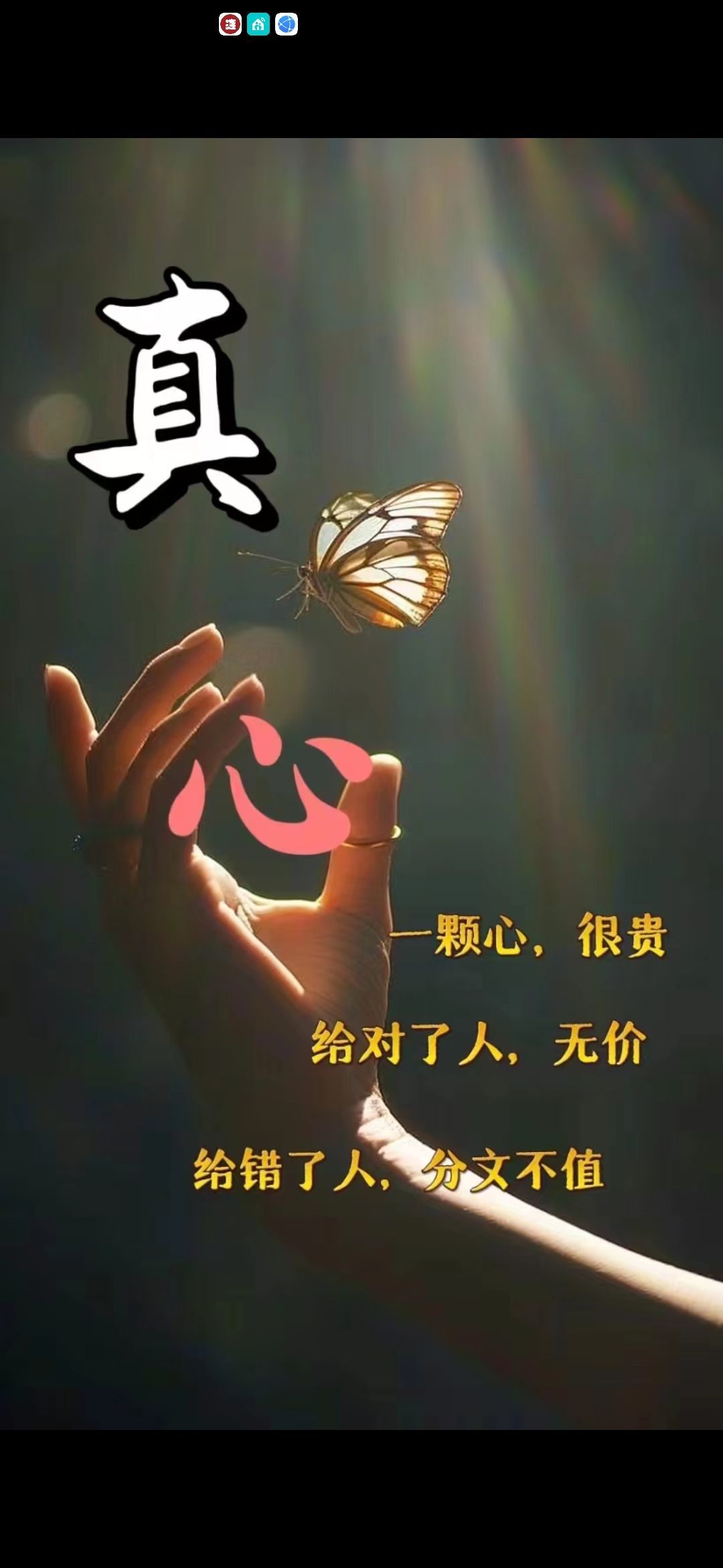丑小鸭💞愿有一束光的图片