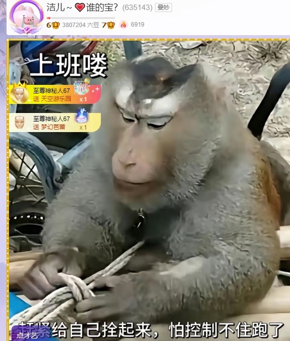 洁儿宝宝💗的图片