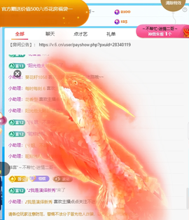 惯宝✨加油主播照片