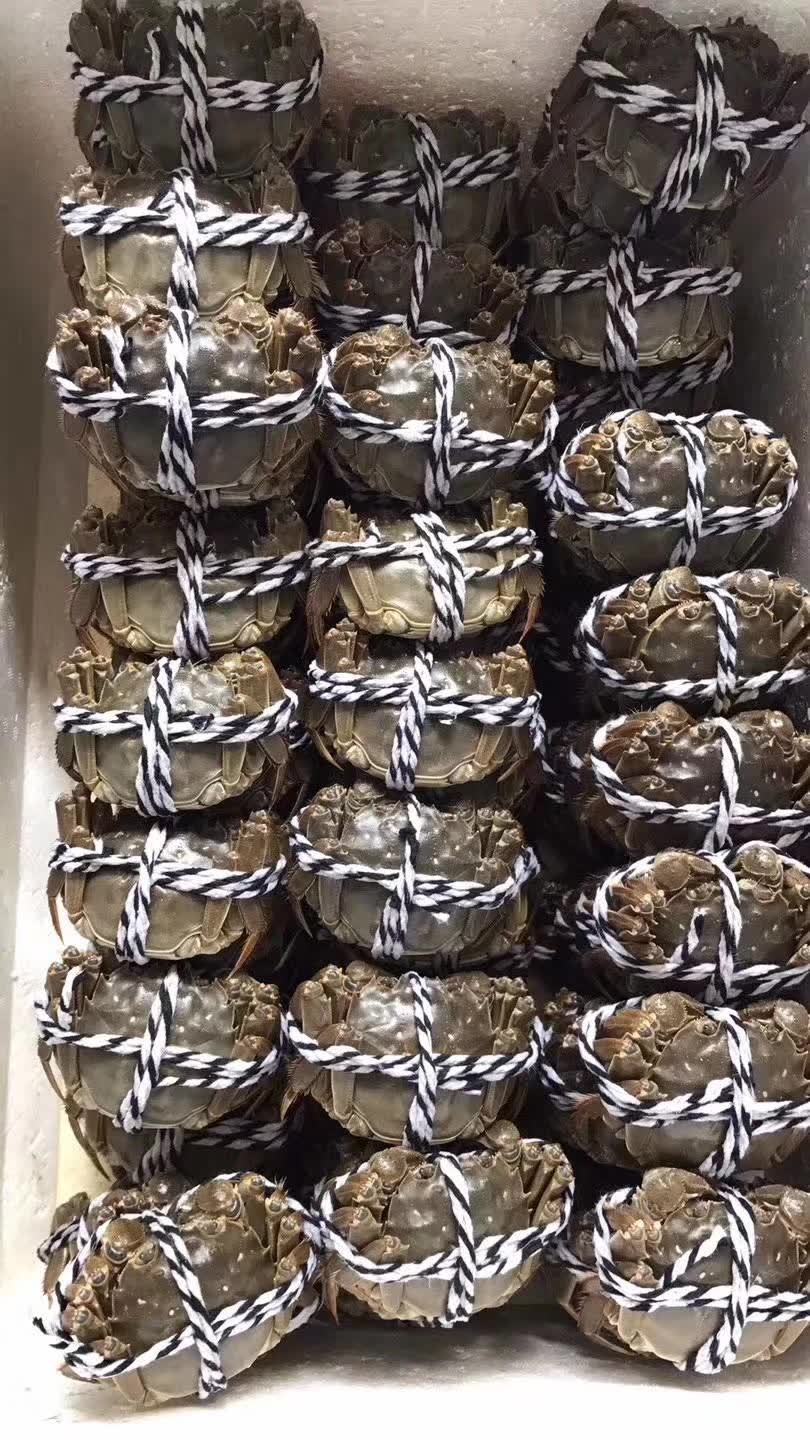时间不需要你等的图片