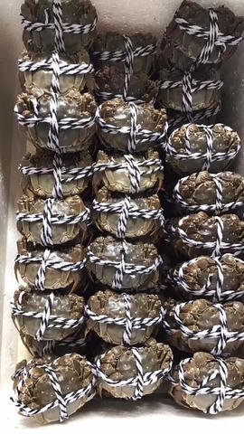 时间不需要你等主播照片