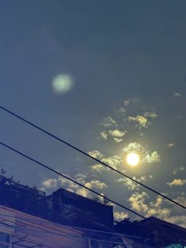 夏至🌸的图片