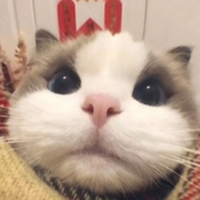 邱邱hsj