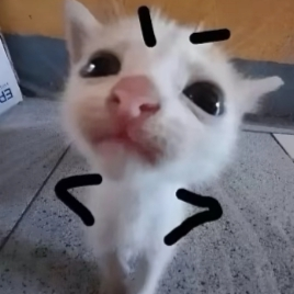 邱邱hsj海报