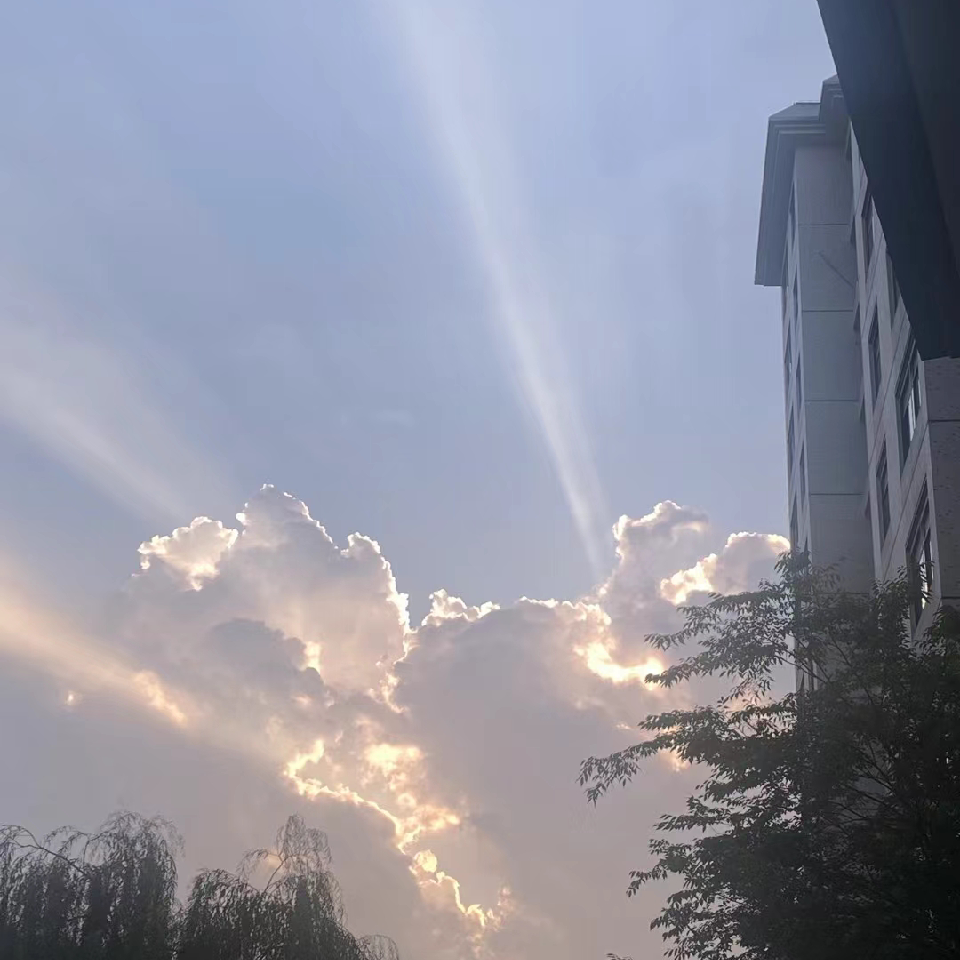分丝析缕的青菜海报