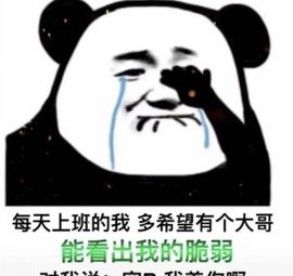 果粒橙~不想挨打！的图片