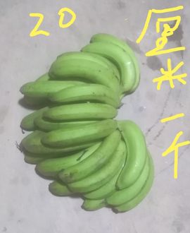 扯淡颜淡🐢🐢的图片