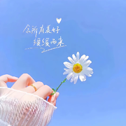 优乐美🧋💕~⋆海报