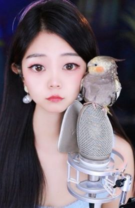 🦋香香加油🦋主播照片