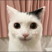 艾瑞☆巴蒂