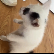 土块！