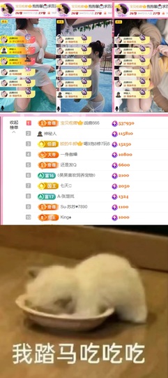 抱抱馨💌今晚休。主播照片
